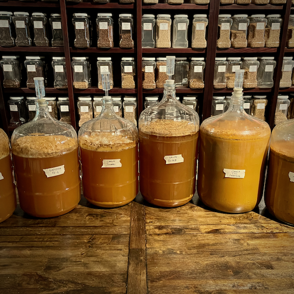 Fresh Cider at Gnome Brew's Cider Day