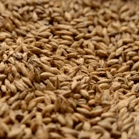 Briess Bonlander Munich, 1 lb