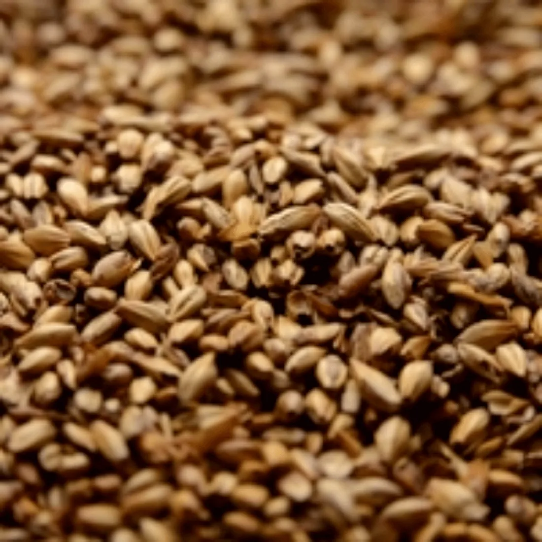 Briess Caramel 40L, 1 lb