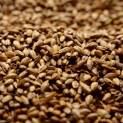 Briess Caramel 40L, 1 lb