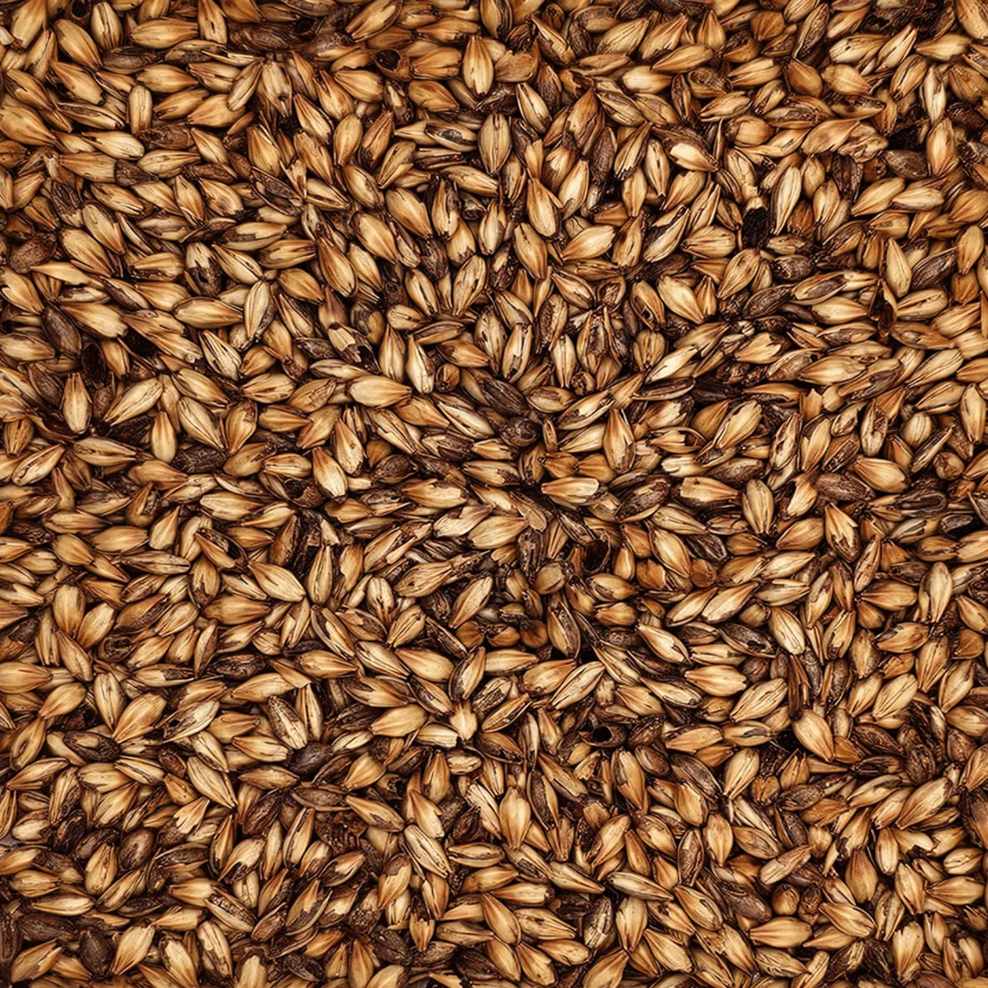 Briess Caramel 90L, 1 lb