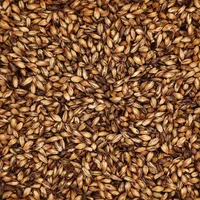 Briess Caramel 90L, 1 lb