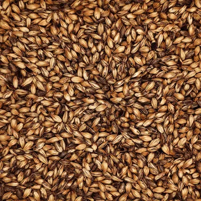 Briess Caramel 90L, 1 lb