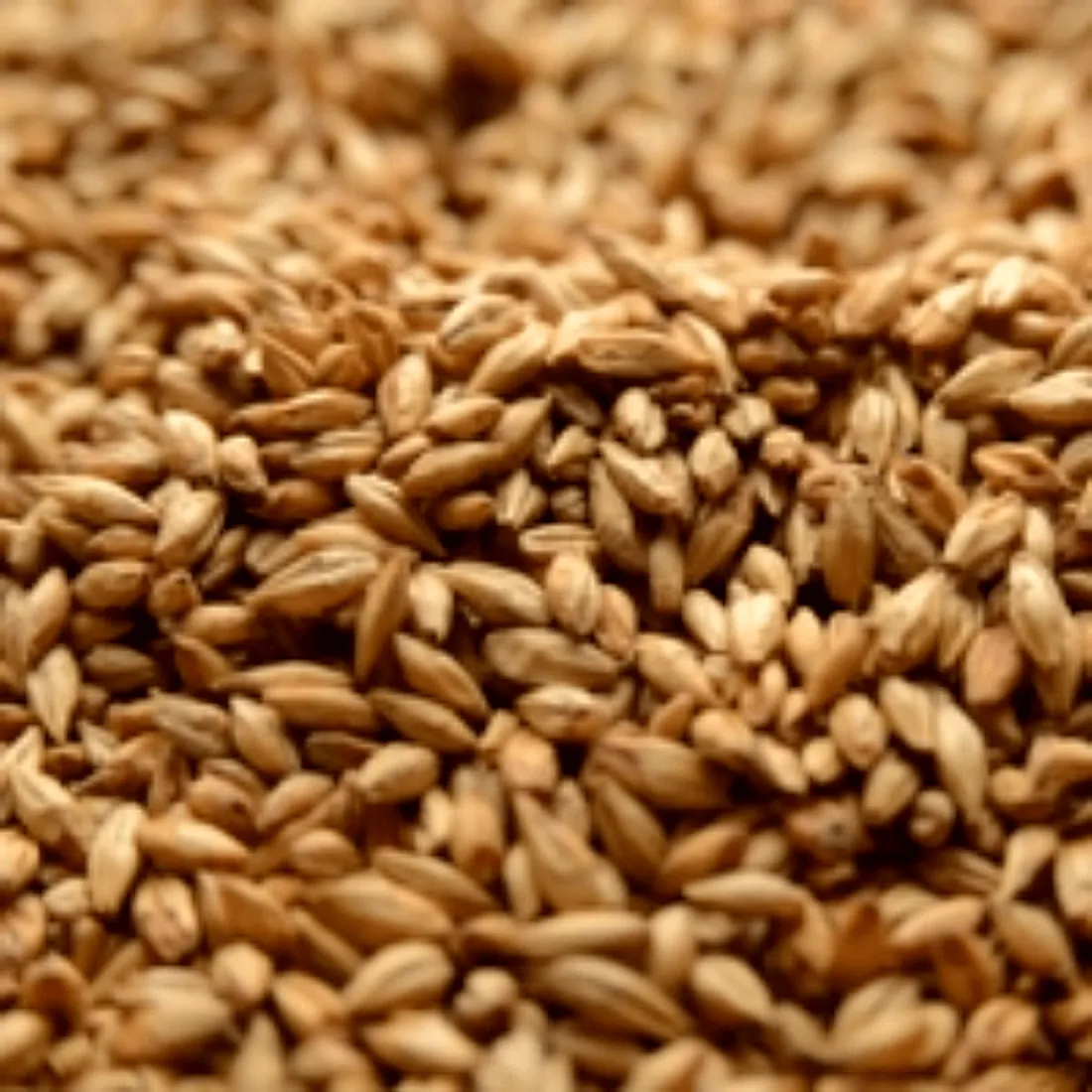 Briess Cherrywood Smoked, 1 lb