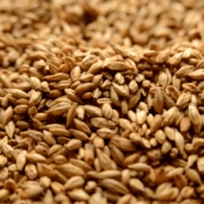 Briess Cherrywood Smoked, 1 lb