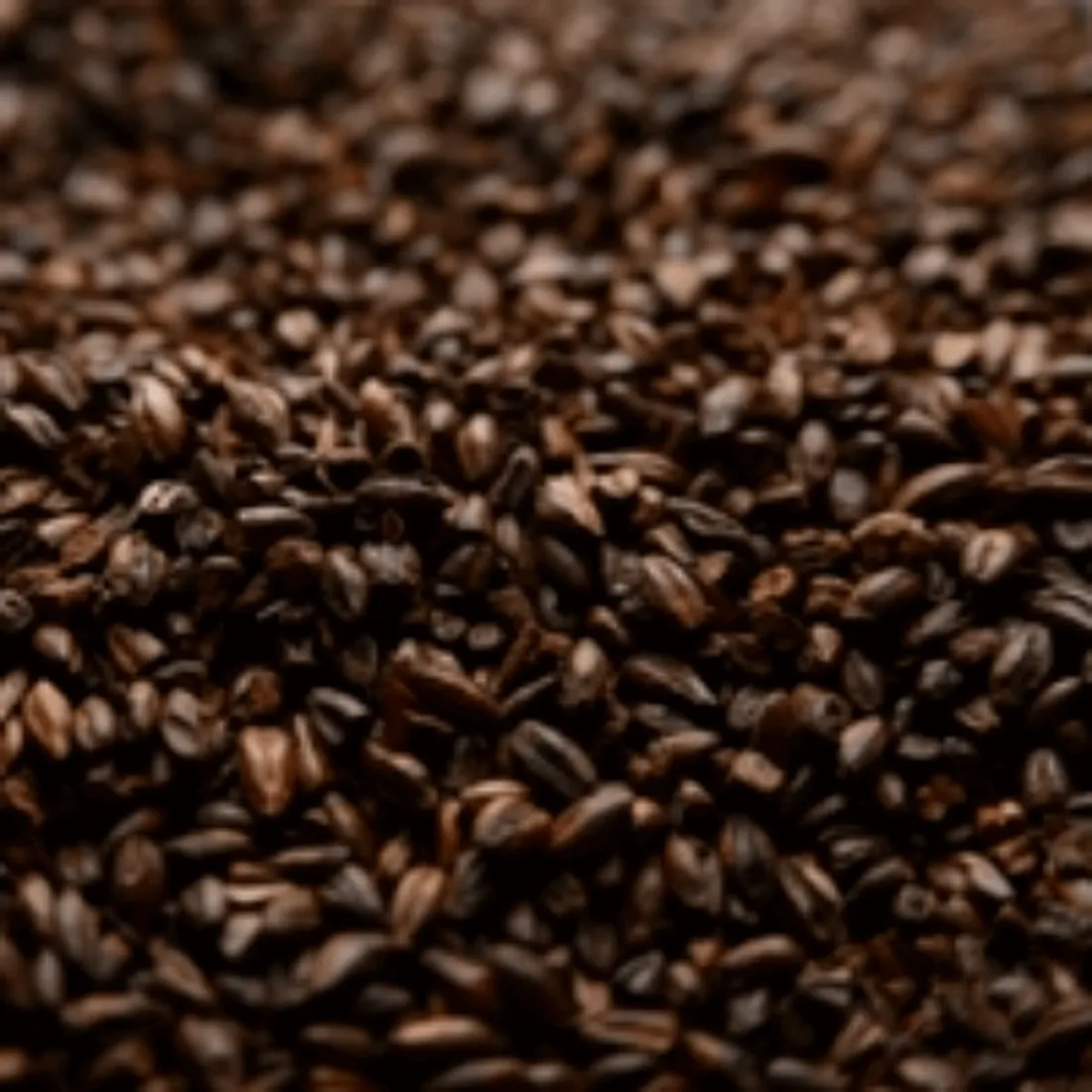 Briess Chocolate Malt, 1 lb