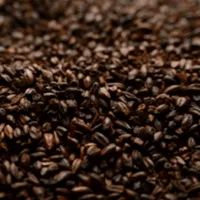 Briess Chocolate Malt, 1 lb