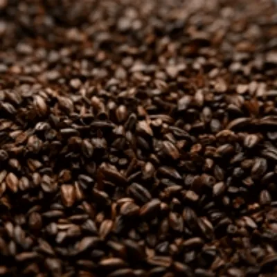 Briess Chocolate Malt, 1 lb