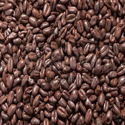 Briess Midnight Wheat, 1 lb