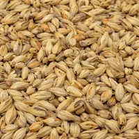 Briess Pale Ale Malt, 50 lb Sack