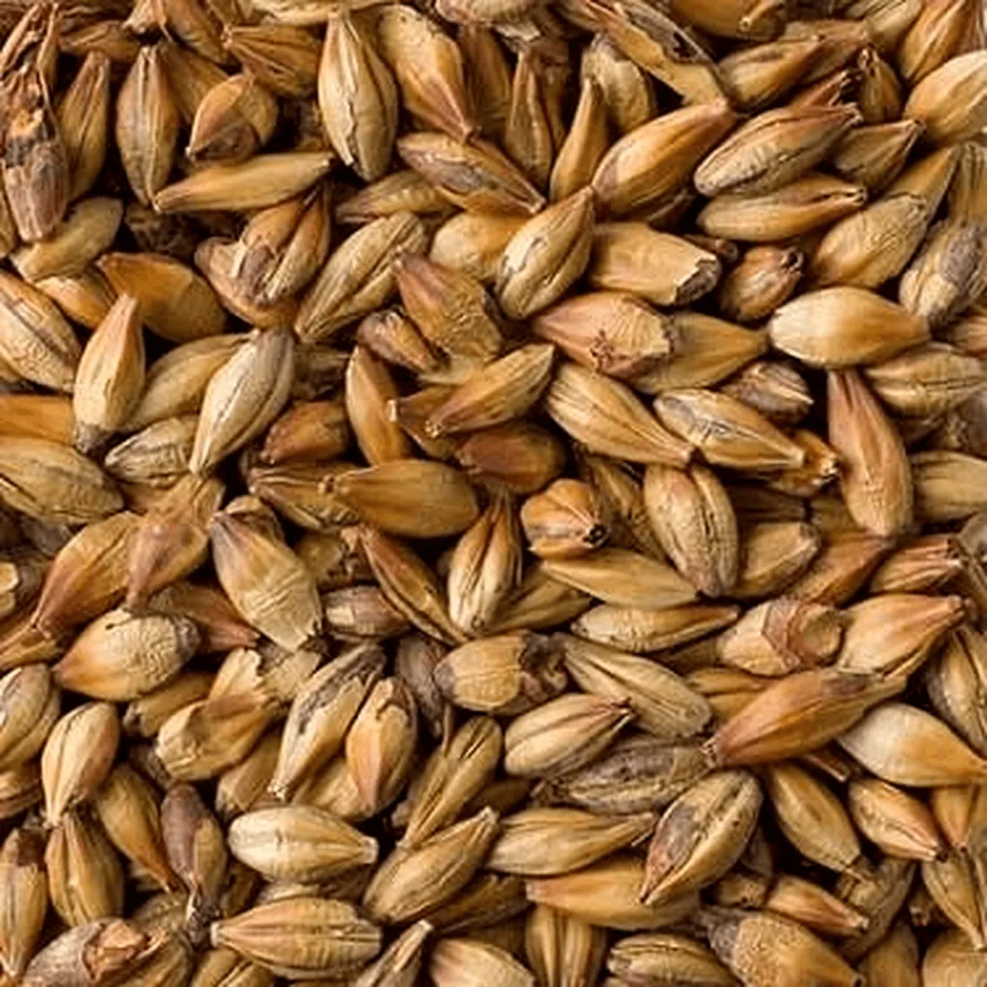 Briess Special Roast, 1 lb