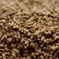 Briess Victory, 1 lb