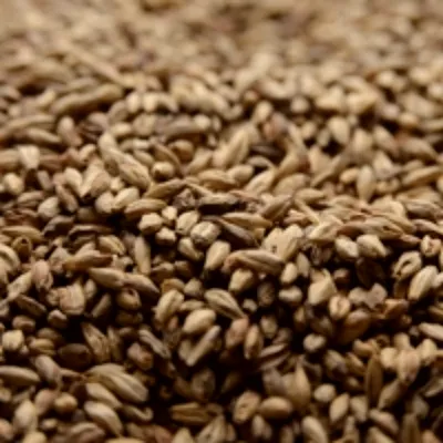 Briess Victory, 1 lb