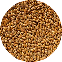 Crisp No. 19 Floor-Malted Maris Otter®, 55 lb sack