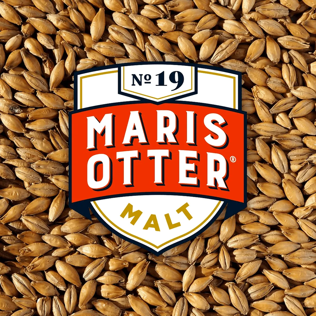 Crisp No. 19 Floor-Malted Maris Otter®, 55 lb sack