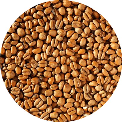 Crisp - Torrefied Wheat, 1 lb