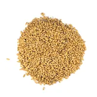 Dingemans Pale Ale, 55 lb Sack