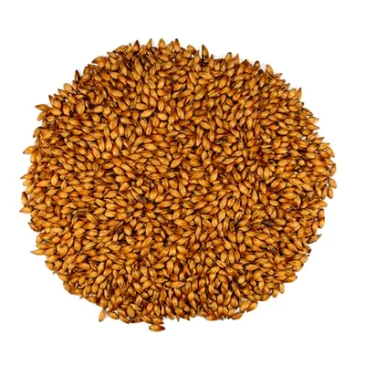 Dingemans - Special B, 1 lb