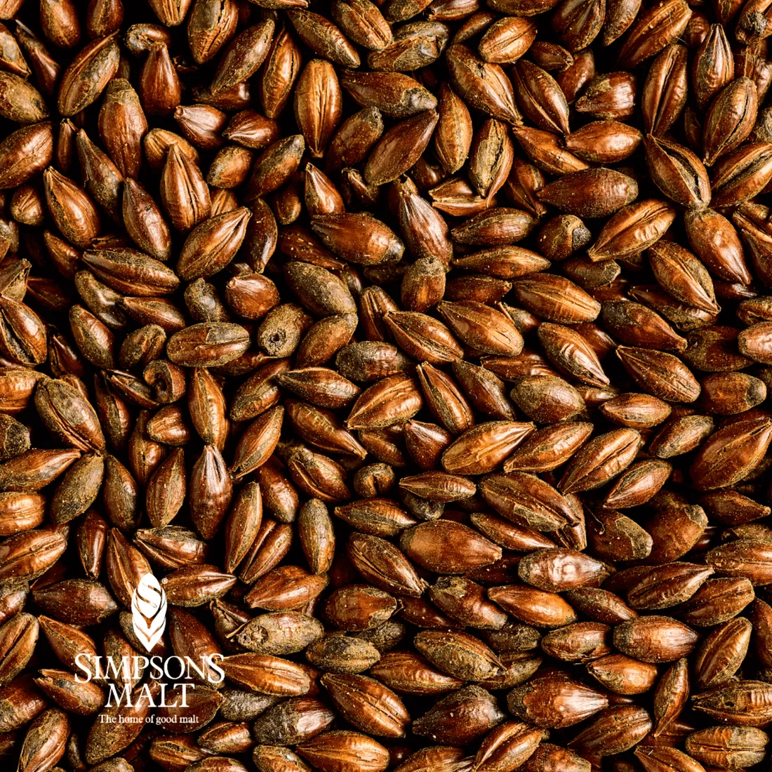 Simpsons Chocolate Malt, 1 lb