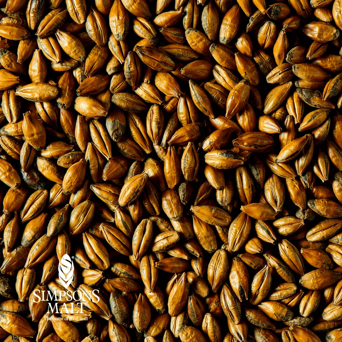 Simpsons Export Pale Chocolate, 1 lb