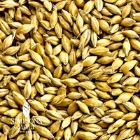 Simpsons Golden Promise, 55 lb Sack