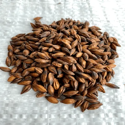 Sugar Creek Pale Chocolate Malt, 1 lb