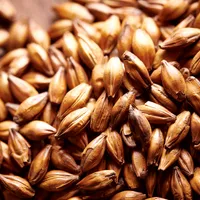 Weyermann CaraAroma, 1 lb