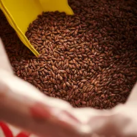 Weyermann Carafa Special 1, 1 lb