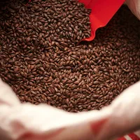 Weyermann Carafa Special 2, 1 lb