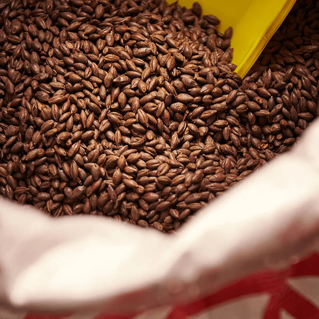 Weyermann Carafa Special 3, 1 lb