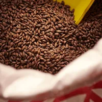 Weyermann Carafa Special 3, 1 lb