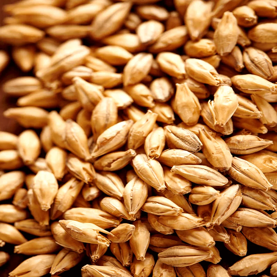 Weyermann Carafoam, 1 lb