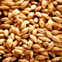 Weyermann Carafoam, 1 lb