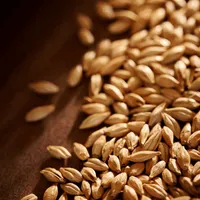 Weyermann Carahell, 1 lb