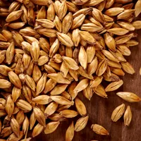 Weyermann CaraMunich Type 1, 1 lb