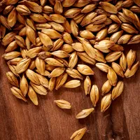 Weyermann CaraMunich Type 2, 1 lb