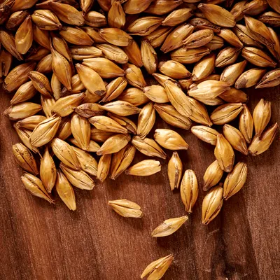 Weyermann CaraMunich Type 2, 1 lb