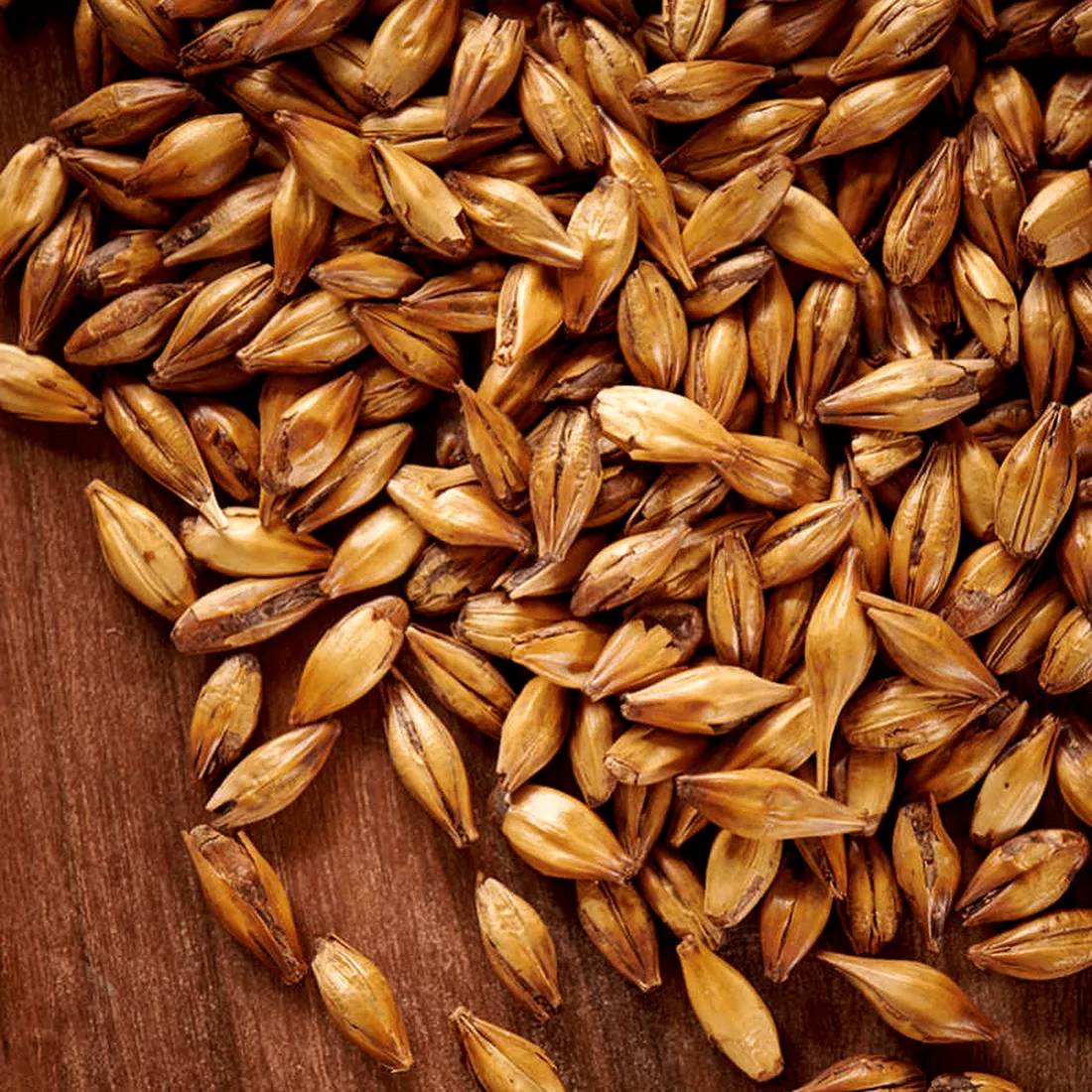 Weyermann CaraMunich Type 3, 1 lb