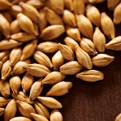 Weyermann CaraRed, 1 lb.