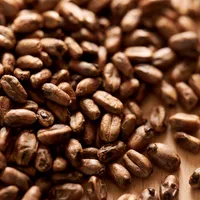 Weyermann CaraWheat, 1 lb