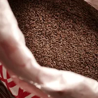 Weyermann Chocolate Rye, 1 lb