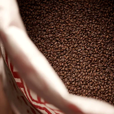 Weyermann Chocolate Wheat, 1 lb