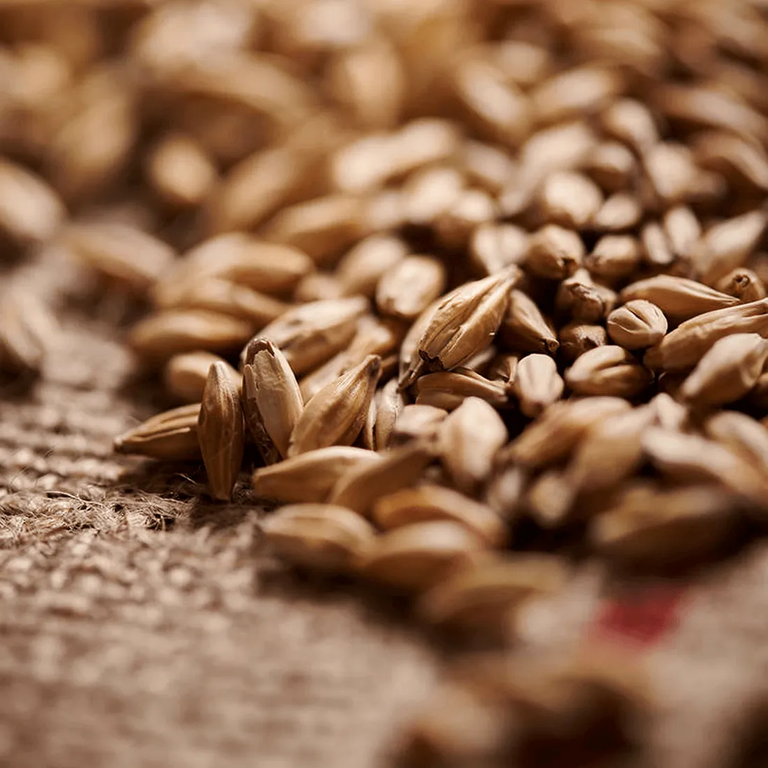 Weyermann Melanoidin Malt, 1 lb