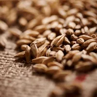 Weyermann Melanoidin Malt, 1 lb