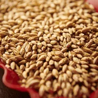 Weyermann Munich Type 1, 1 lb