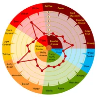 Weyermann Munich Type 2, 1 lb