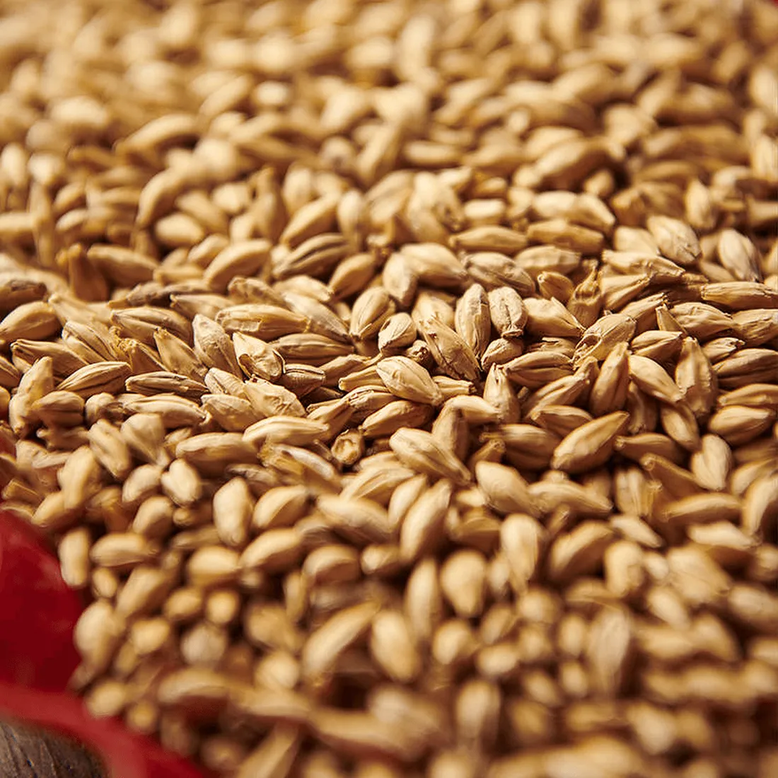 Weyermann Munich Type 2, 1 lb