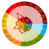 Weyermann Pilsner Malt, 1 lb