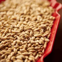 Weyermann Vienna, 1 lb