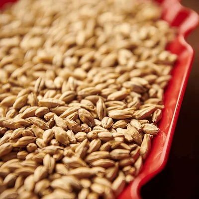 Weyermann Vienna, 1 lb